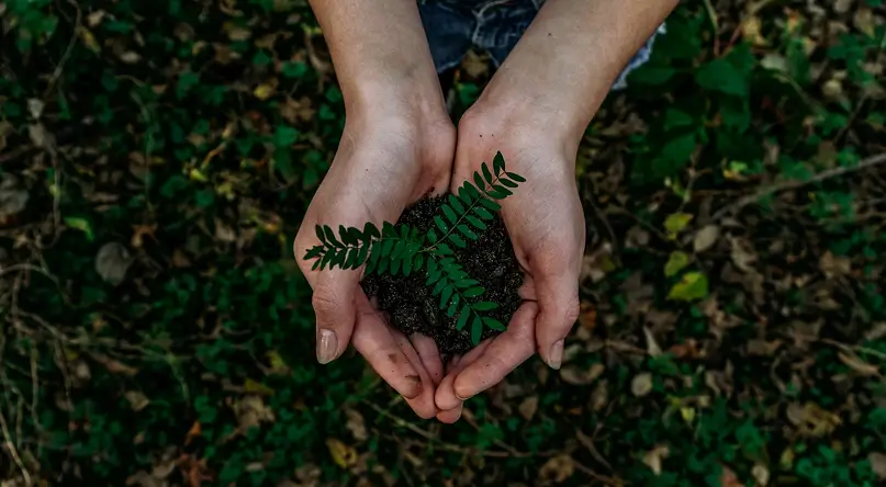 Triple Bottom Line: Profit, People, Planet illustration